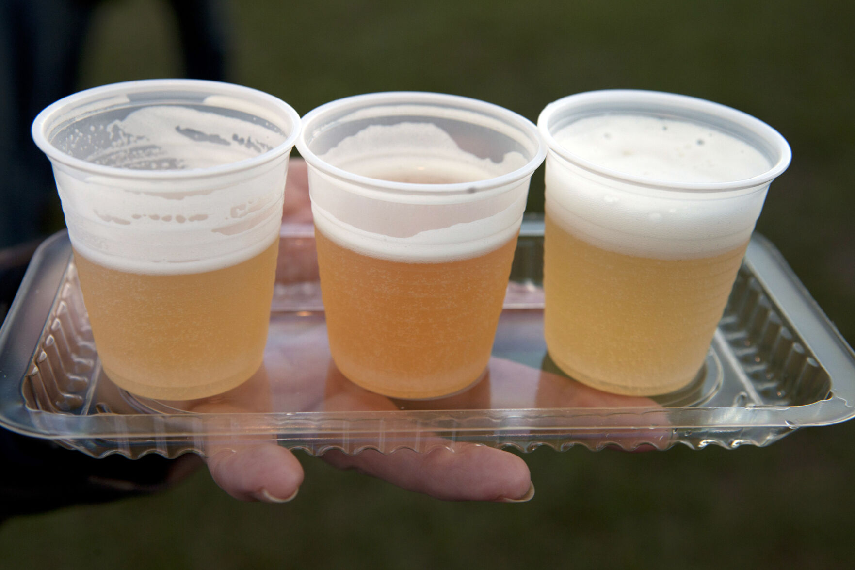 ©2013 Philip Gould's Gulf Brew Horse Farm ACA IMG_8750.JPG